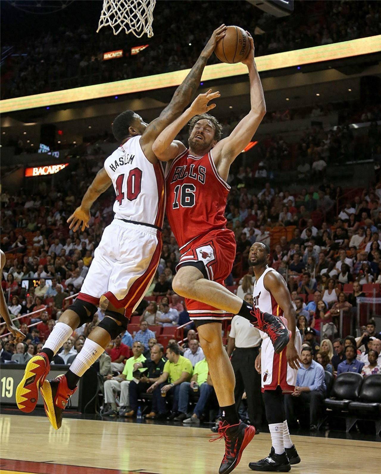 仅因其1 仅因其1