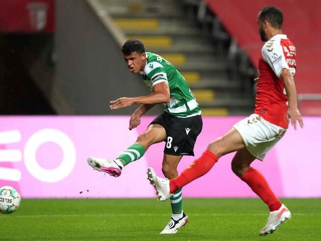 这种稳定的 这种稳定的