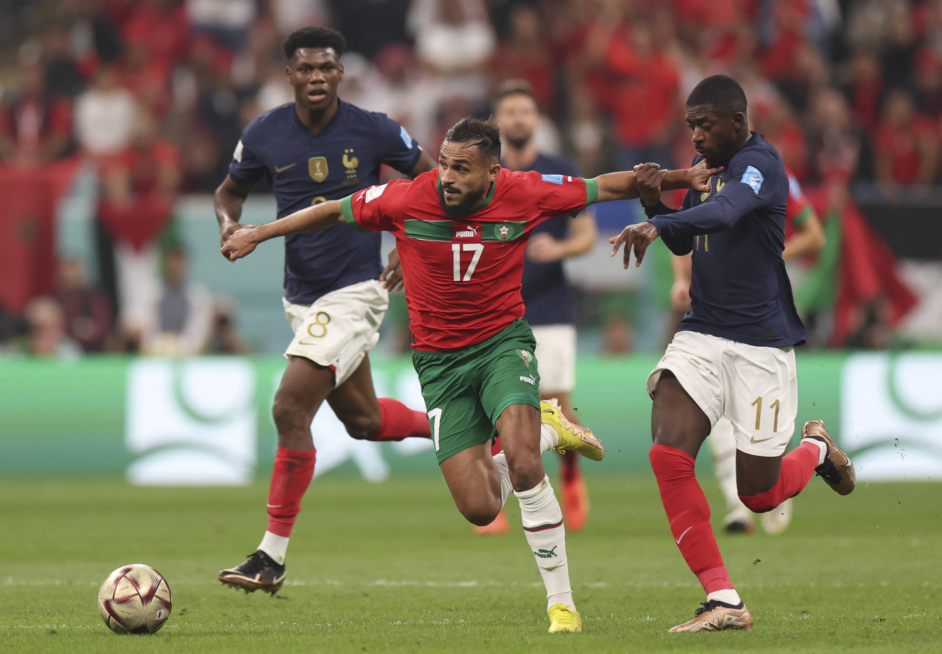 谢什科身高 谢什科身高