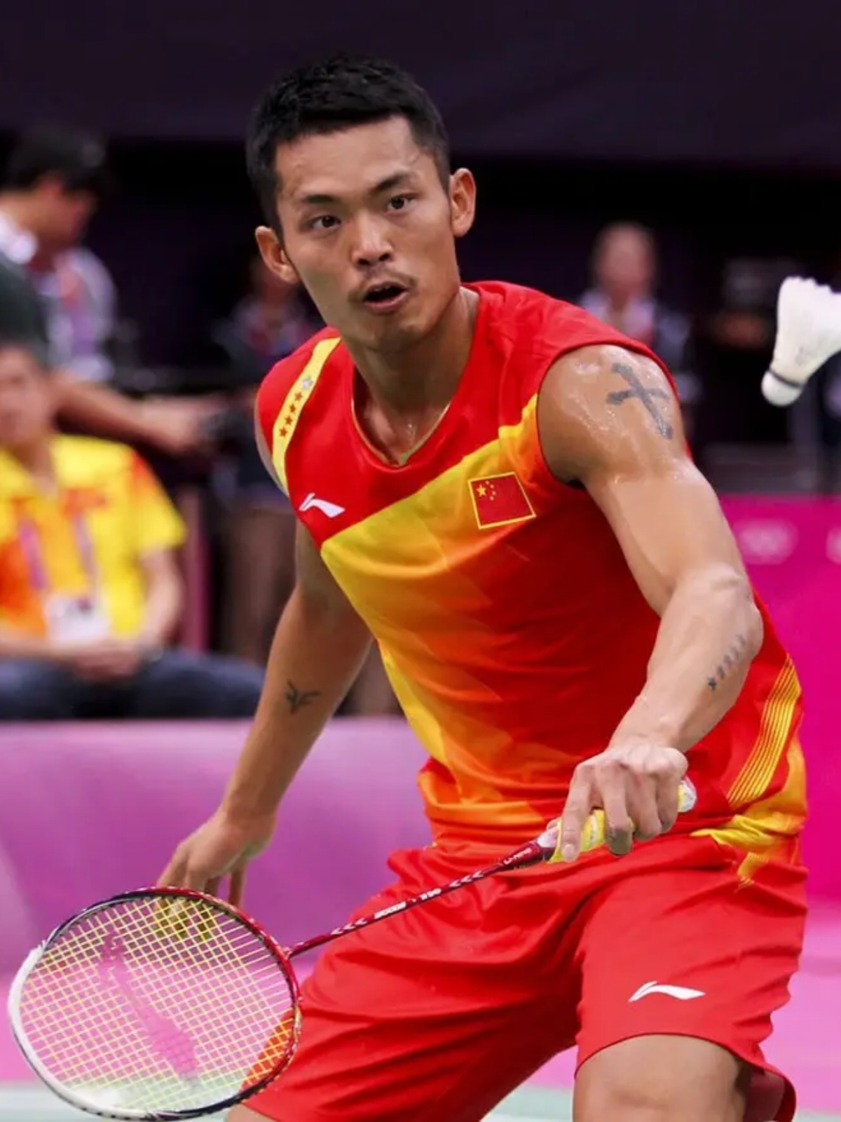 让教练组可 让教练组可